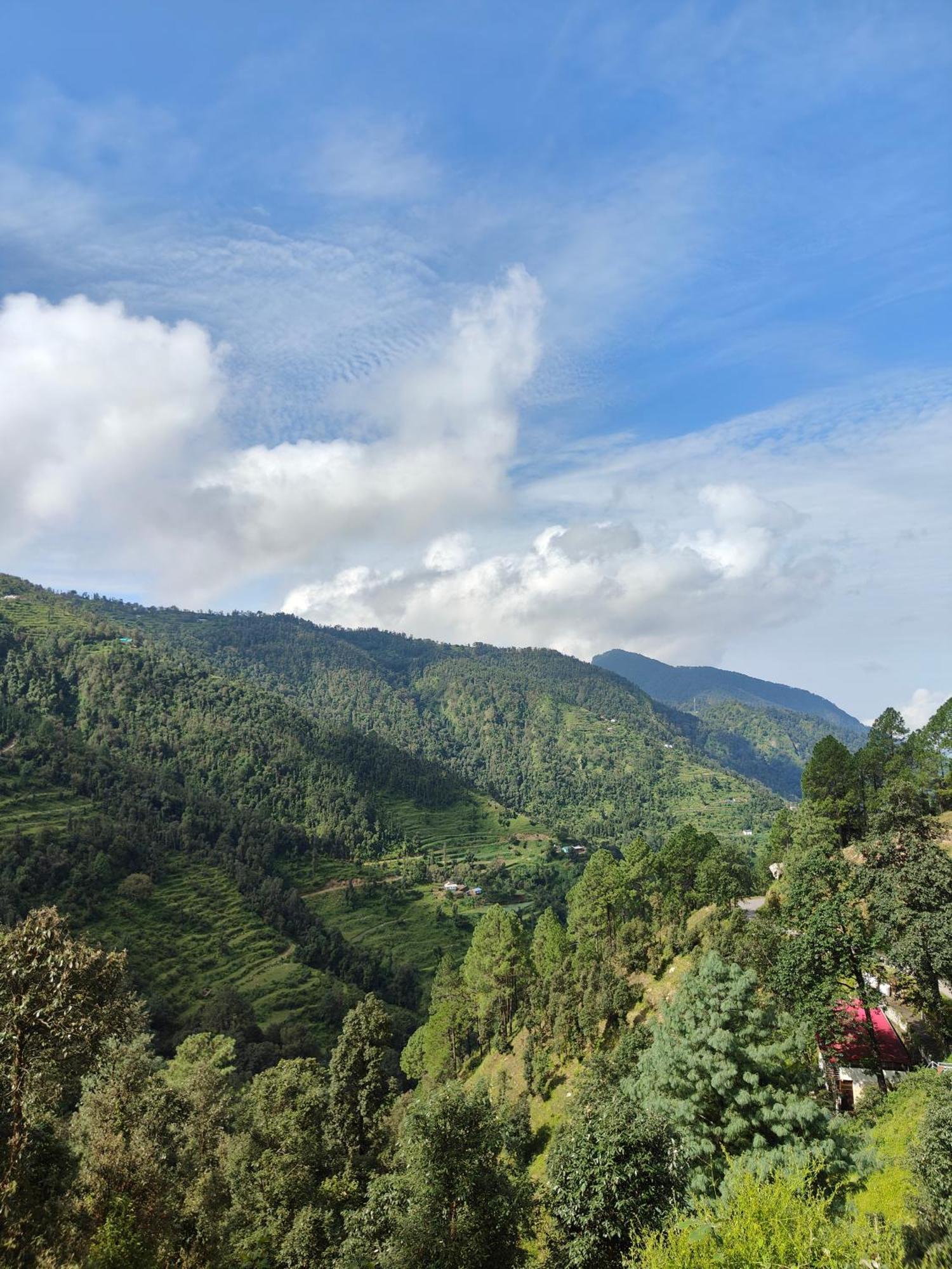 Himwanderer Camps & Cottages Pangot Nainital Eksteriør billede