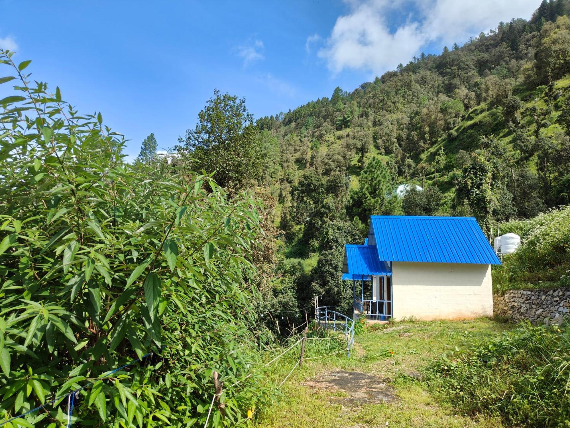 Himwanderer Camps & Cottages Pangot Nainital Eksteriør billede