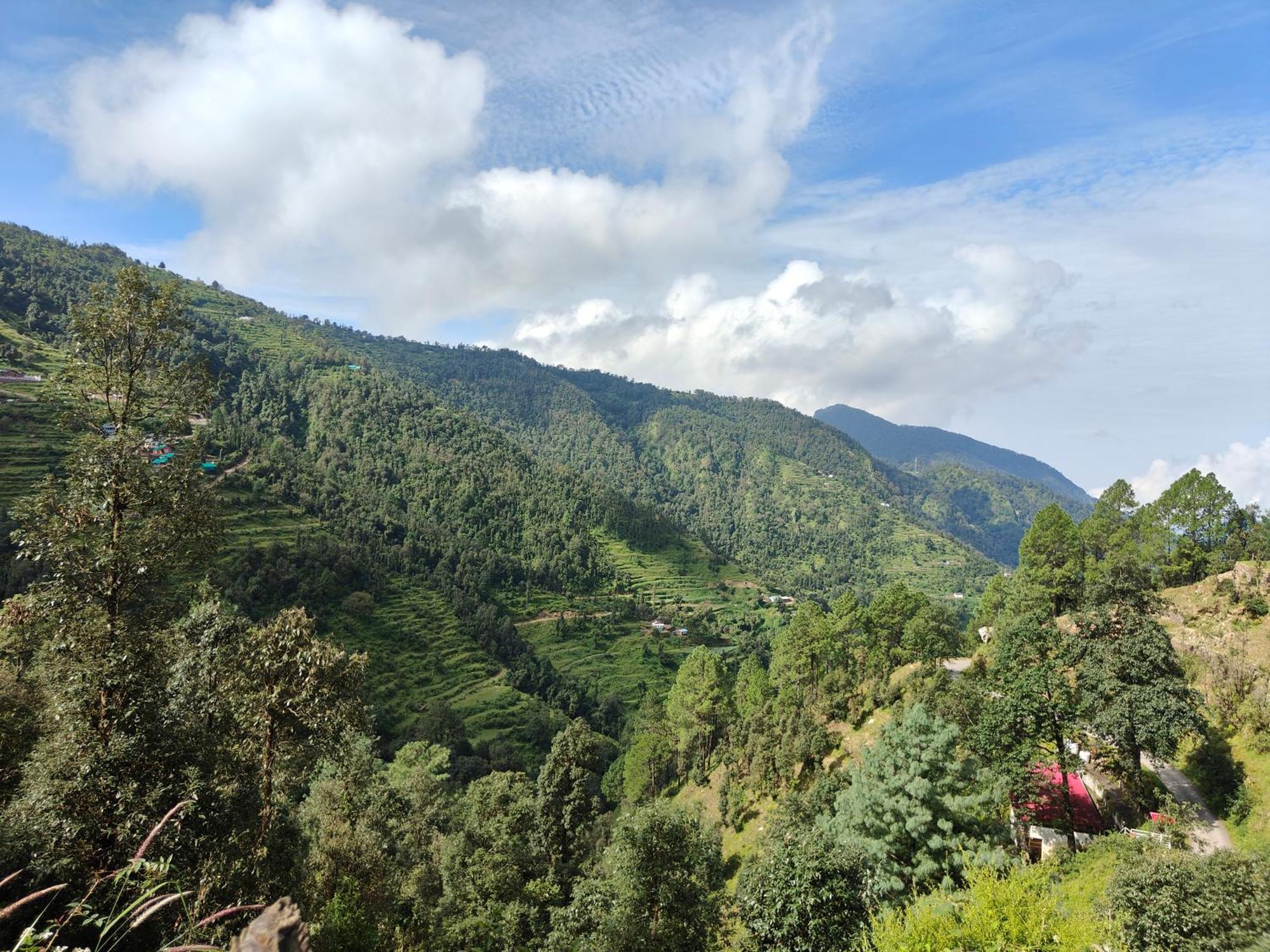 Himwanderer Camps & Cottages Pangot Nainital Eksteriør billede