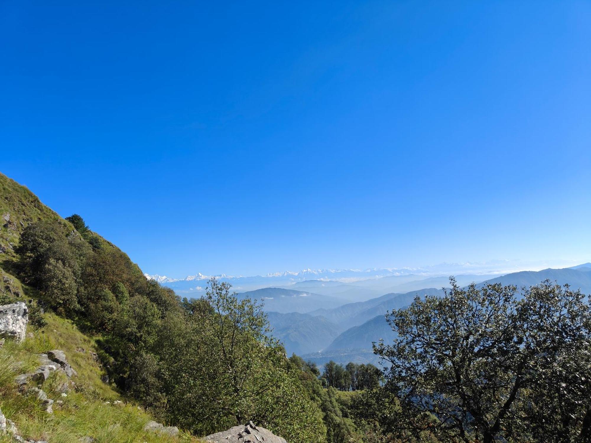 Himwanderer Camps & Cottages Pangot Nainital Eksteriør billede