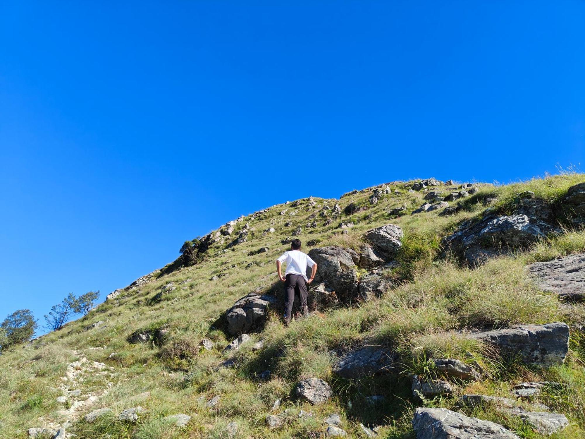 Himwanderer Camps & Cottages Pangot Nainital Eksteriør billede