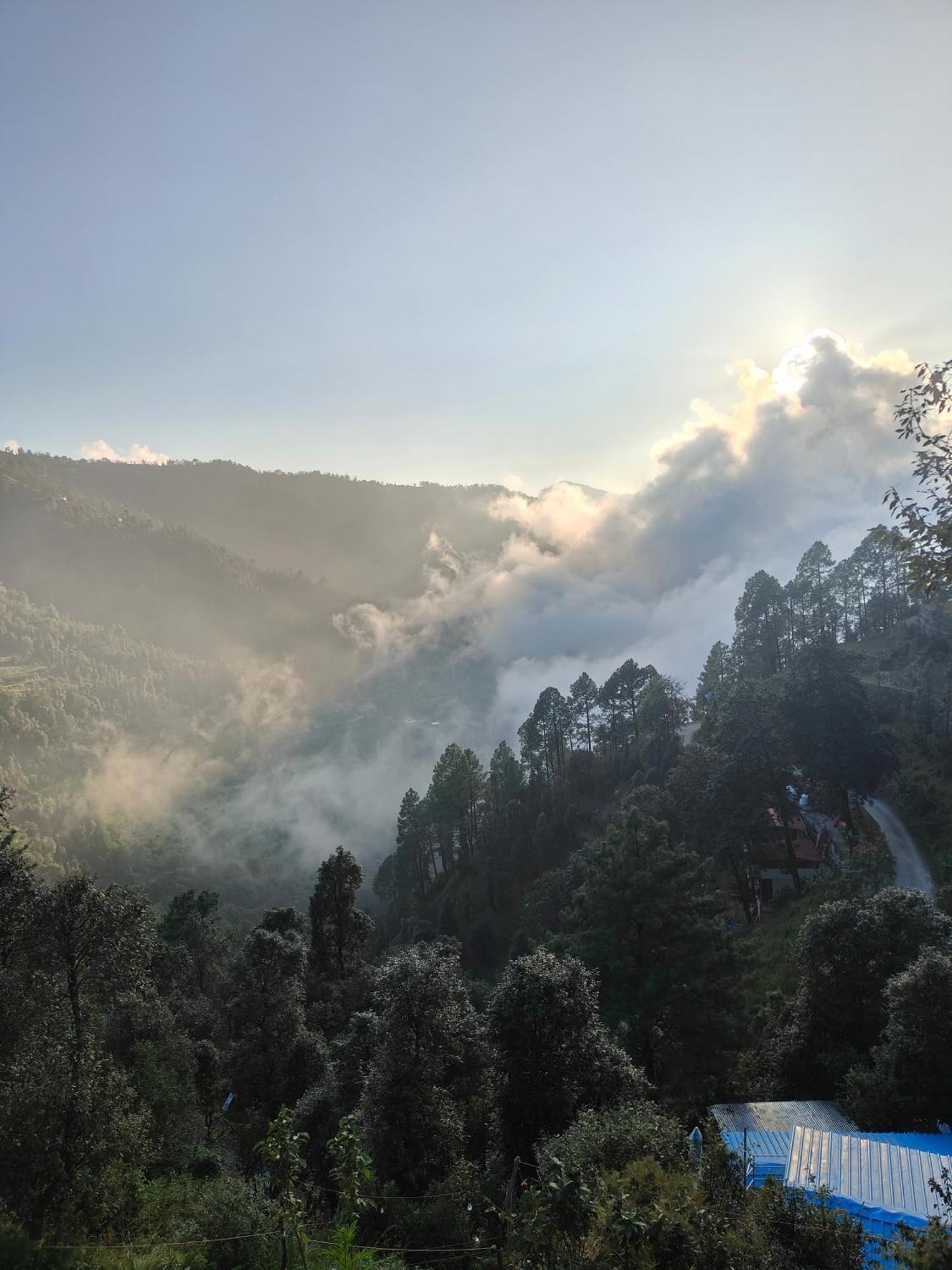 Himwanderer Camps & Cottages Pangot Nainital Eksteriør billede