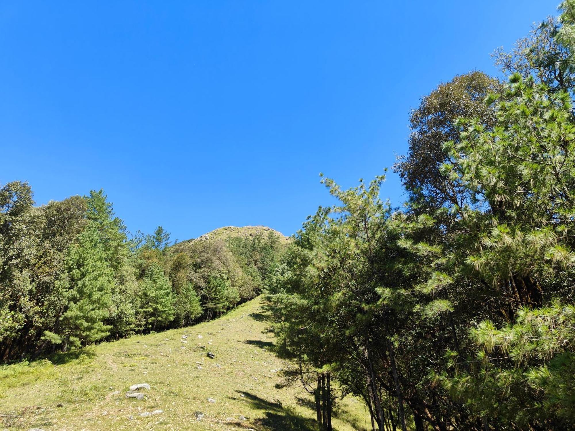 Himwanderer Camps & Cottages Pangot Nainital Eksteriør billede