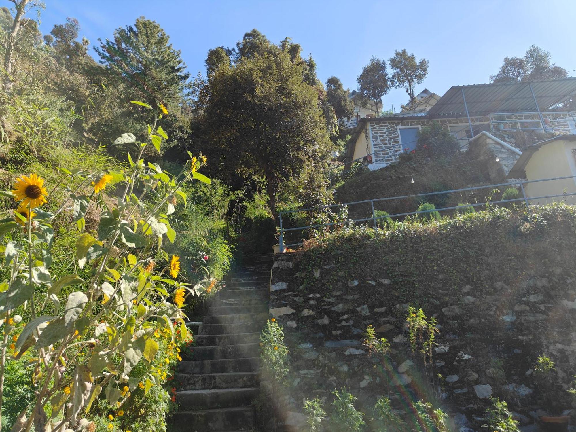 Himwanderer Camps & Cottages Pangot Nainital Eksteriør billede