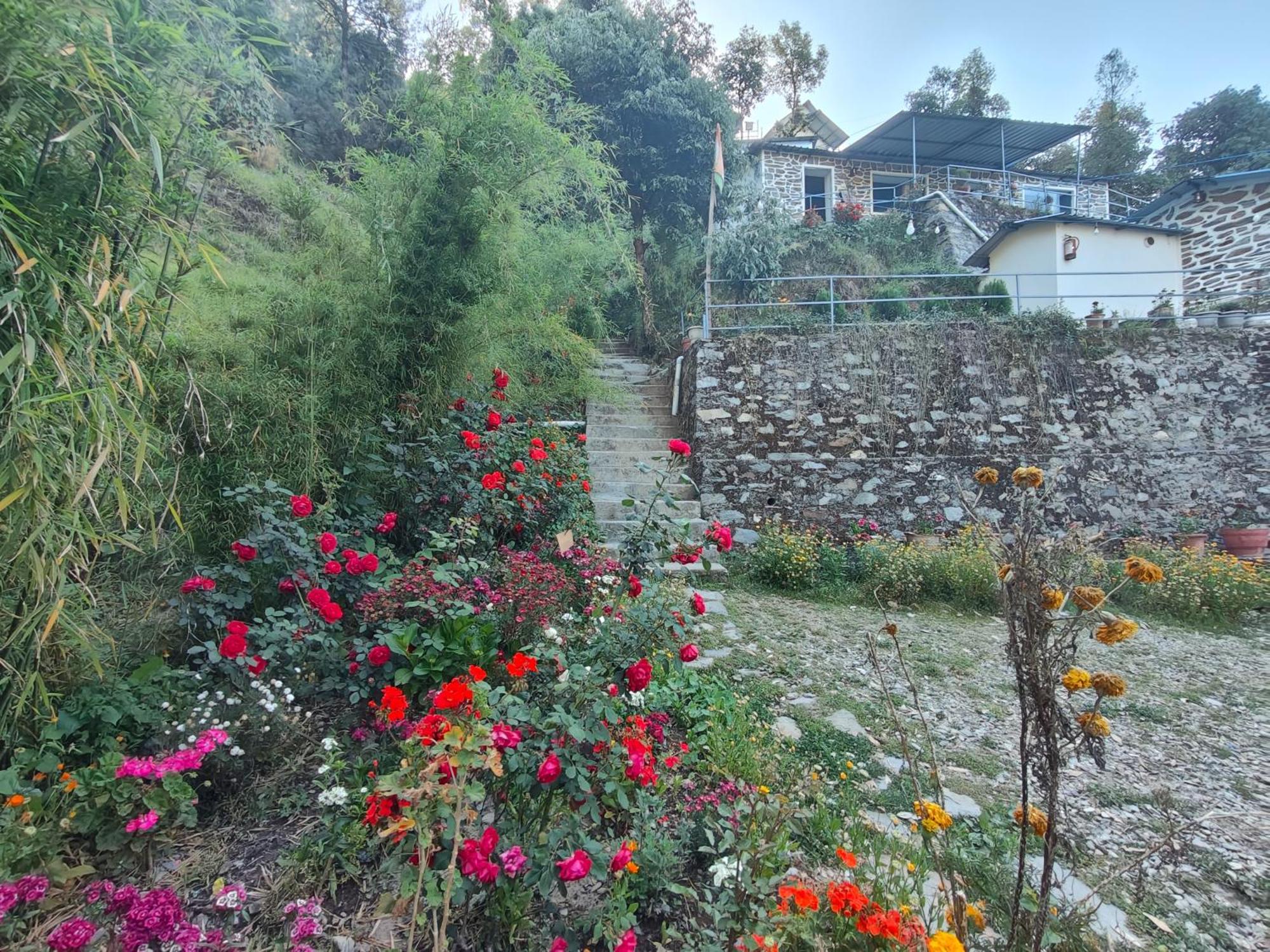 Himwanderer Camps & Cottages Pangot Nainital Eksteriør billede