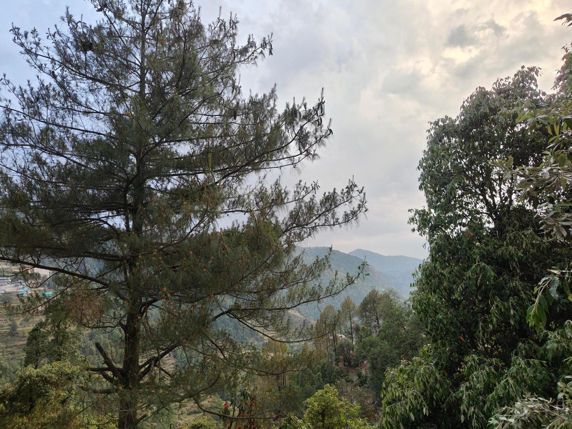 Himwanderer Camps & Cottages Pangot Nainital Eksteriør billede